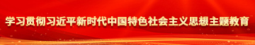 我爱日大屌骚屄学习贯彻习近平新时代中国特色社会主义思想主题教育